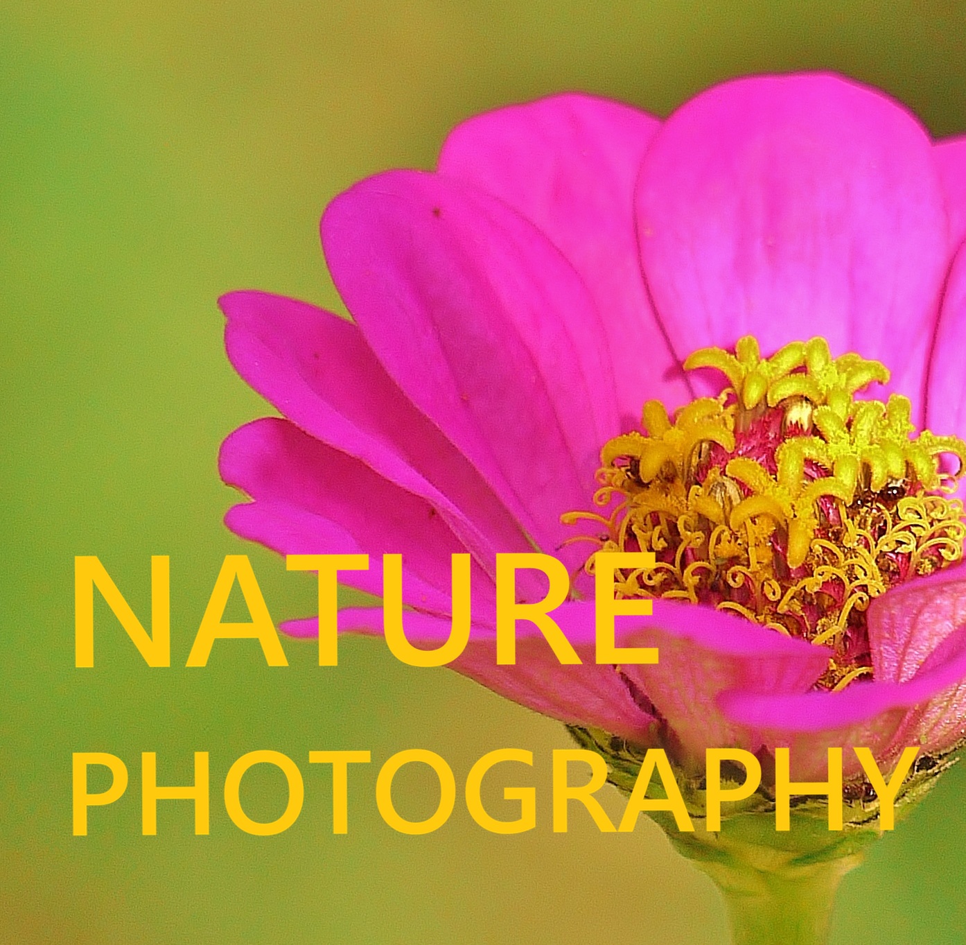 Photography